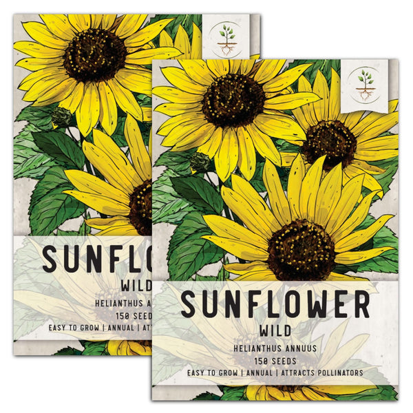 Wild Sunflower Seeds For Planting (Helianthus annuus)