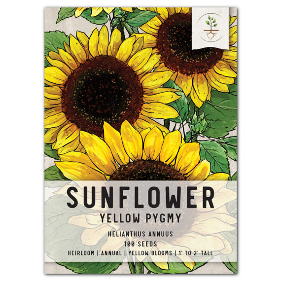 Yellow Pygmy Sunflower Seeds For Planting (Helianthus annuus)