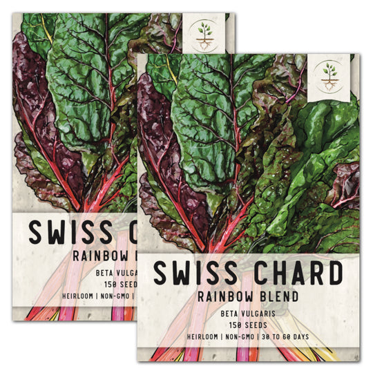 Swiss Chard Seeds For Planting, Rainbow Mixture (Beta vulgaris)