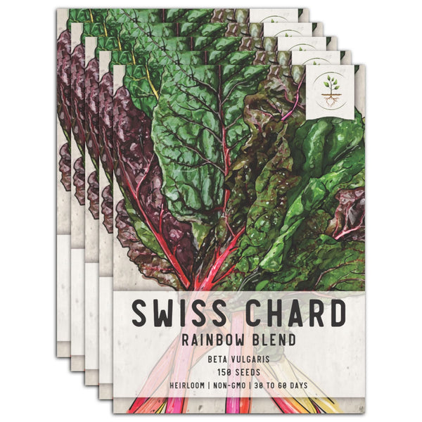 planting chard seeds Rainbow Swiss Chard Seeds For Planting (Beta vulgaris) Seed Needs – Seed Needs LLC