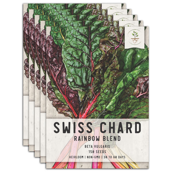 Swiss Chard Seeds For Planting, Rainbow Mixture (Beta vulgaris)