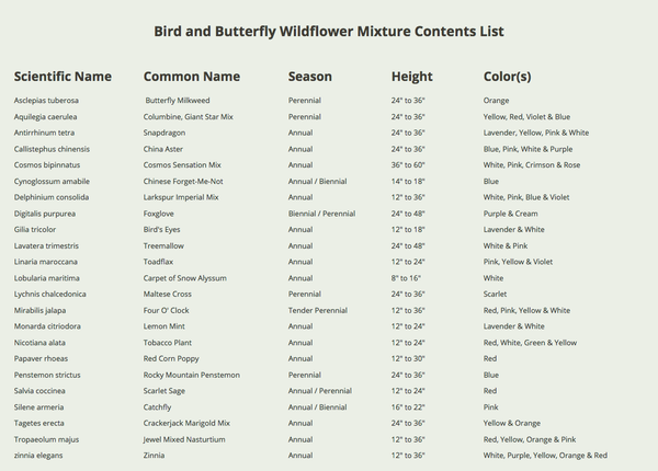 bird and butterfly wildflower mixture