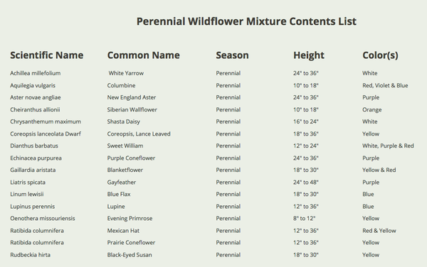 perennial wildflower mixture
