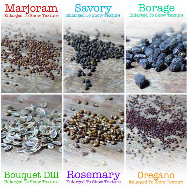 herbal plants seeds Culinary Herb Seed Packet Collection