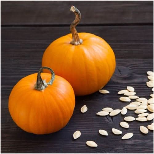 Small Sugar Pie Pumpkin Seeds For Planting (Cucurbita pepo)