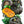 Burgess Buttercup Winter Squash Seeds For Planting 