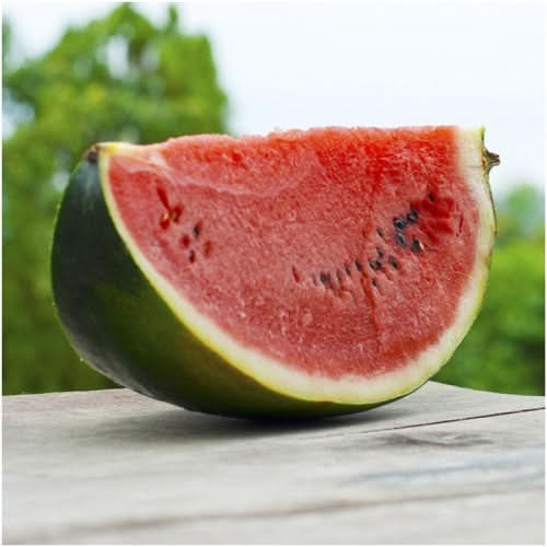 Sugar Baby Watermelon Seeds For Planting (Citrullus lanatus)