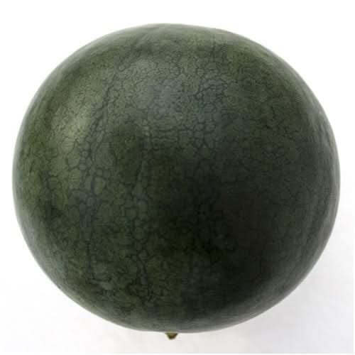 Sugar Baby Watermelon Seeds For Planting (Citrullus lanatus)