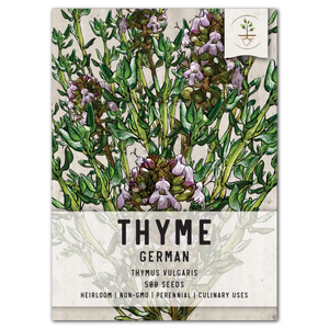 thyme herb seeds for planting
