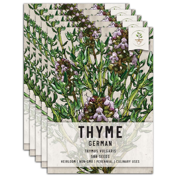 Thyme Herb Seeds For Planting (Thymus vulgaris)