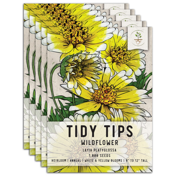 Tidy Tips Seeds For Planting (Layia platyglossa)