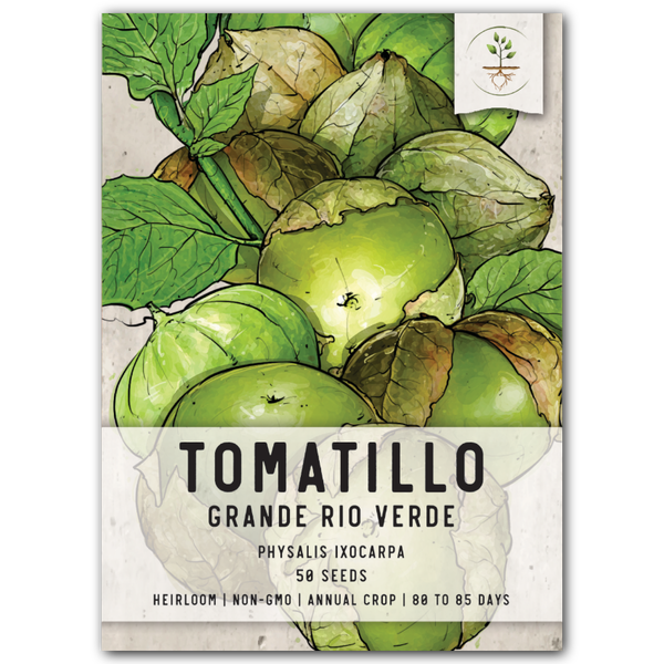 grande rio verde tomatillo seeds for planting