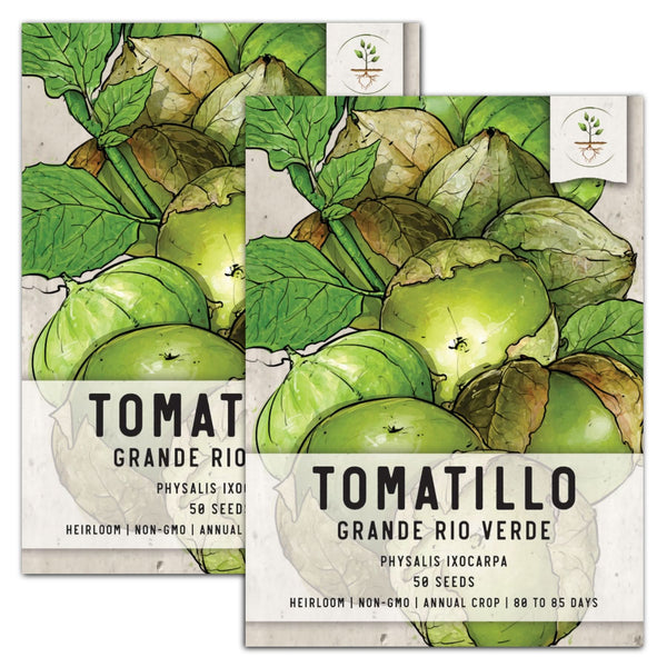 Grande Rio Verde Tomatillo Seeds For Planting (Physalis ixocarpa)