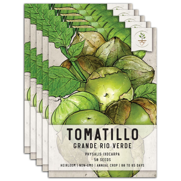 Grande Rio Verde Tomatillo Seeds For Planting (Physalis ixocarpa)