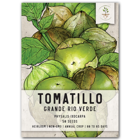 Grande Rio Verde Tomatillo Seeds For Planting (Physalis ixocarpa)