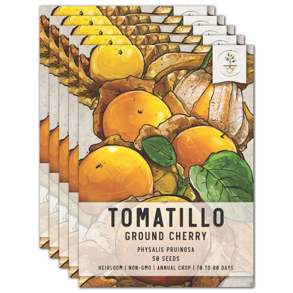planting ground cherry seeds Ground Cherry Tomatillo Seeds For Planting (Physalis pruinosa) – Seed Needs LLC