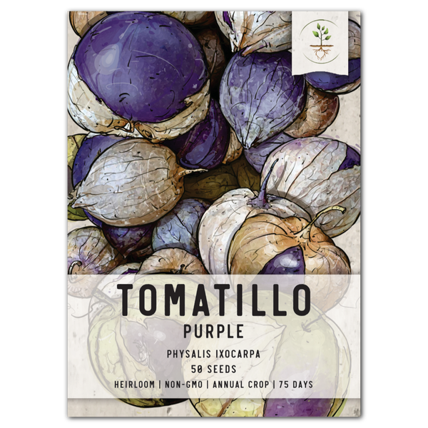 purple tomatillo seeds for planting