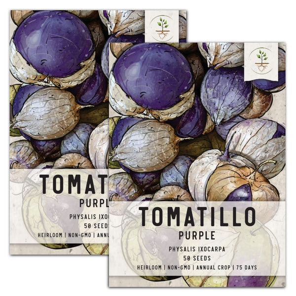 Purple Tomatillo Seeds For Planting (Physalis ixocarpa)