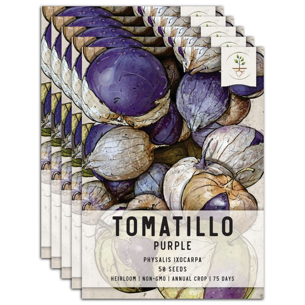 Purple Tomatillo Seeds For Planting (Physalis ixocarpa)