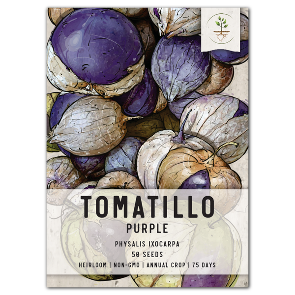 Purple Tomatillo Seeds For Planting (Physalis ixocarpa)