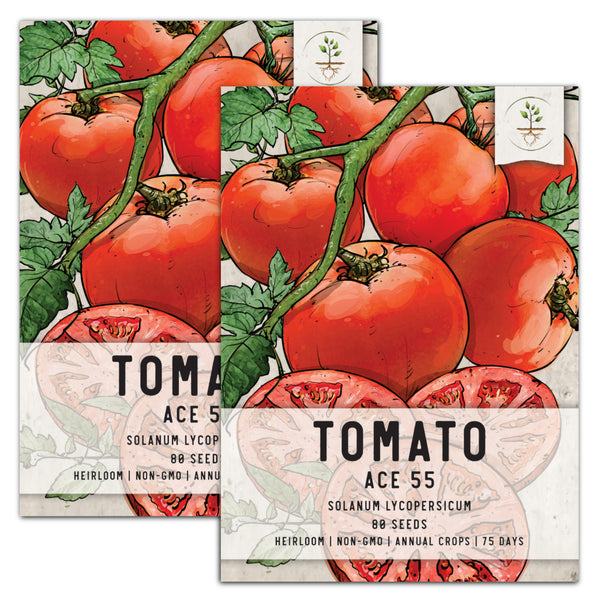 Ace 55 Tomato Seeds For Planting (Solanum lycopersicum)