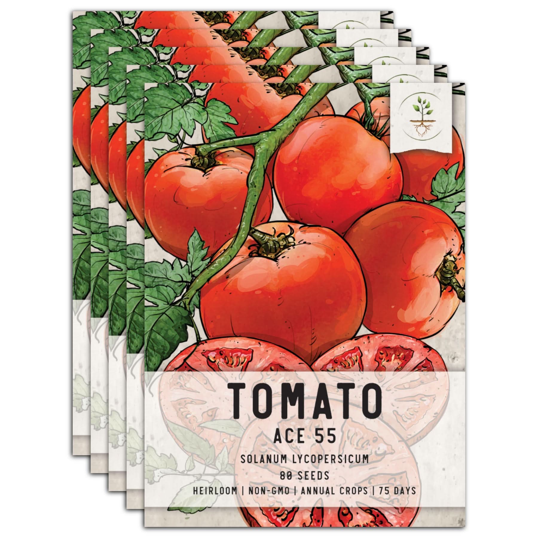 Ace 55 Tomato Seeds For Planting (Solanum lycopersicum)