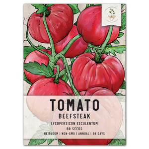 beefsteak tomato seeds for planting