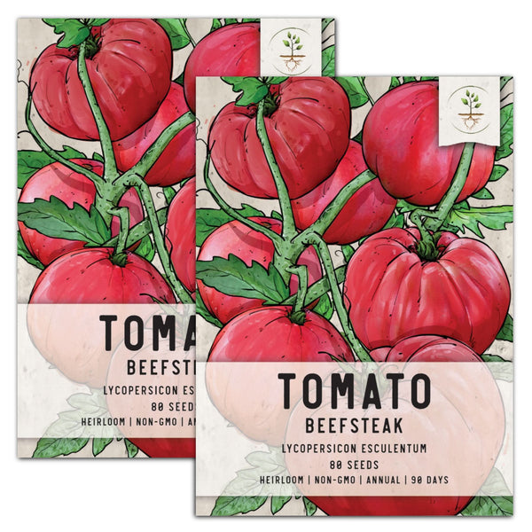 Beefsteak Tomato Seeds For Planting (Lycopersicon esculentum)