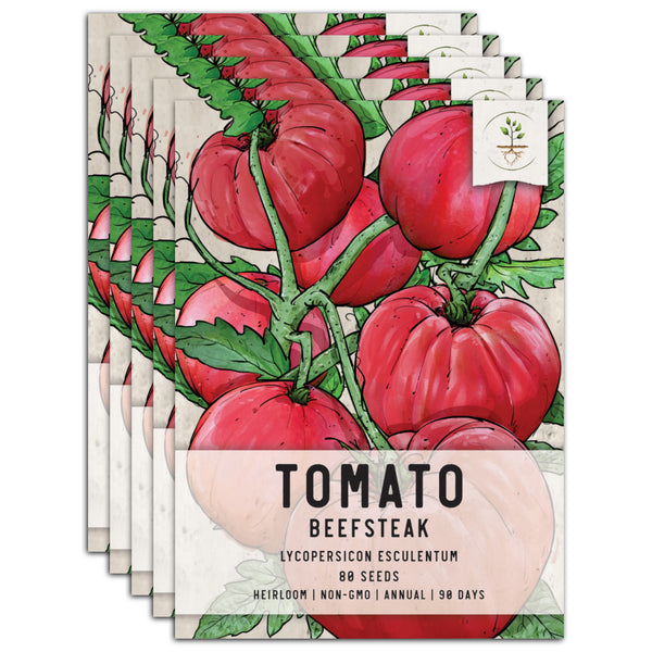 Beefsteak Tomato Seeds For Planting (Lycopersicon esculentum)