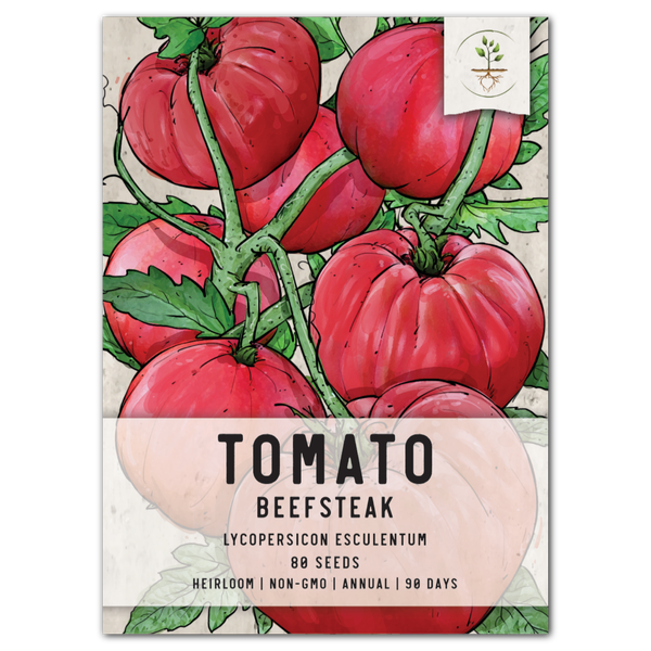 Beefsteak Tomato Seeds For Planting (Lycopersicon esculentum)