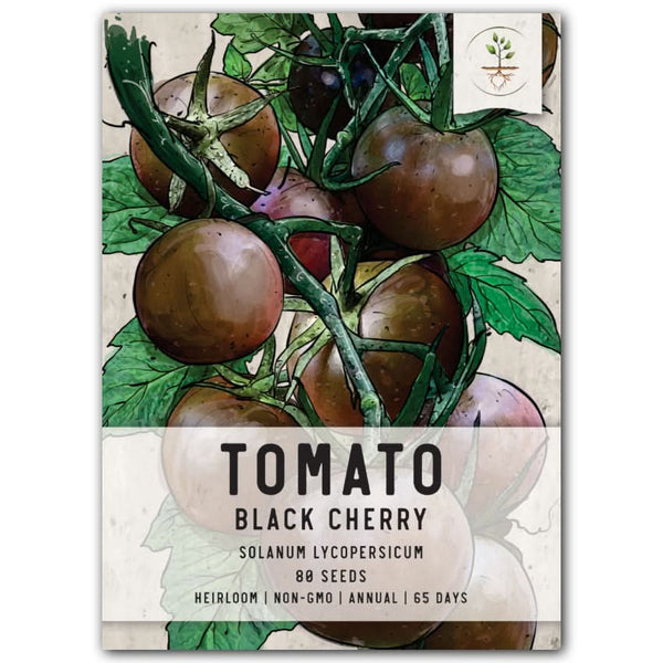 Black Cherry Tomato Seeds For Planting (Solanum lycopersicum)