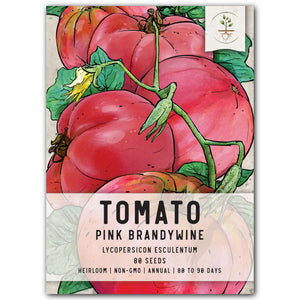 PINK BRANDYWINE TOMATO SEEDS FOR PLANTING