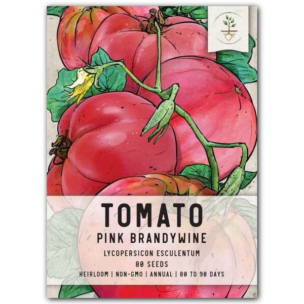 Pink Brandywine Tomato Seeds For Planting (Lycopersicon esculentum)