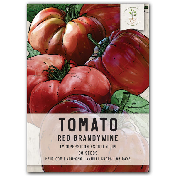 Red brandywine tomato seeds for planting
