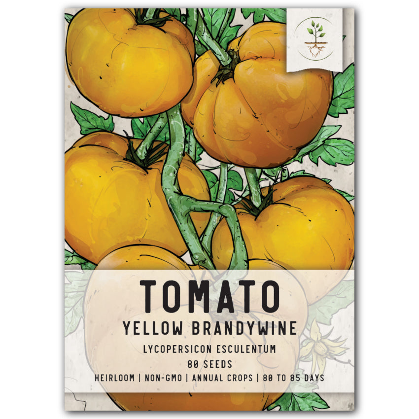yellow brandywine tomato seeds for planting