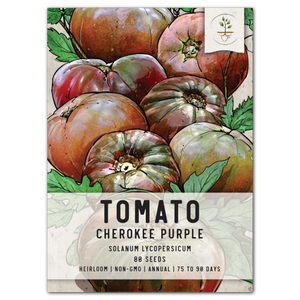 cherokee purple tomato seeds for planting