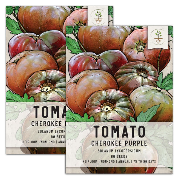 Cherokee Purple Tomato Seeds For Planting (Solanum lycopersicum)