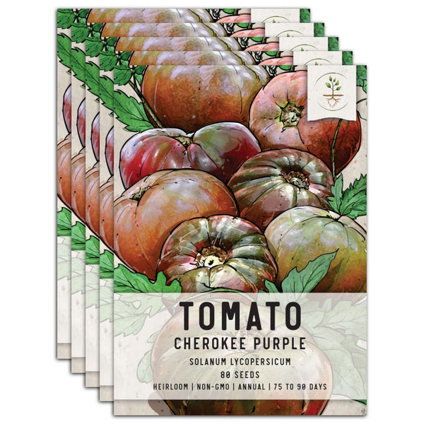 Cherokee Purple Tomato Seeds For Planting (Solanum lycopersicum)