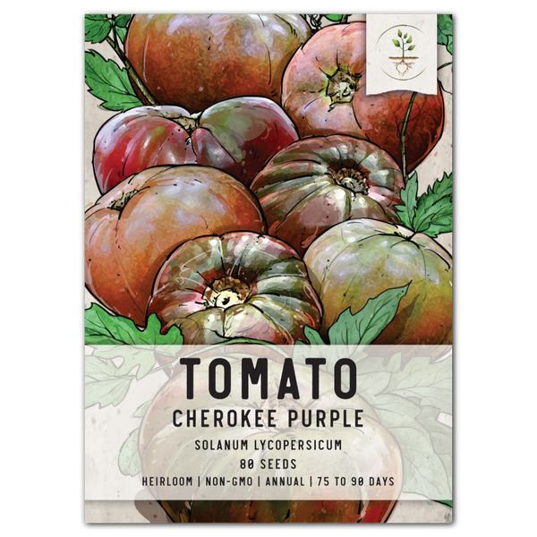 Cherokee Purple Tomato Seeds For Planting (Solanum lycopersicum)