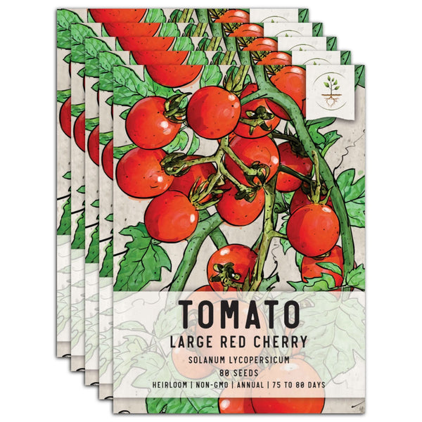 Large Red Cherry Tomato Seeds For Planting (Solanum lycopersicum)