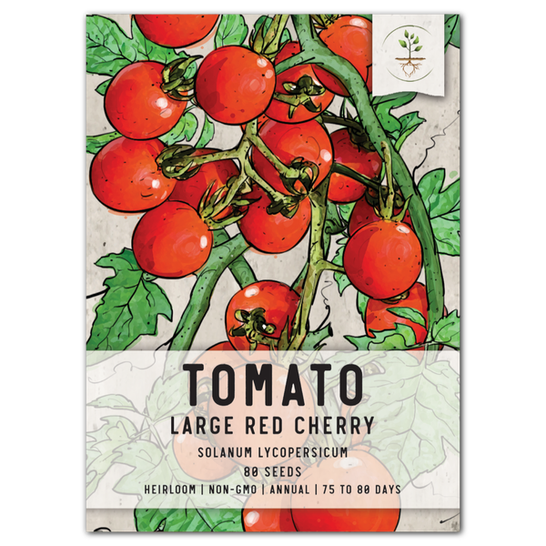Large Red Cherry Tomato Seeds For Planting (Solanum lycopersicum)