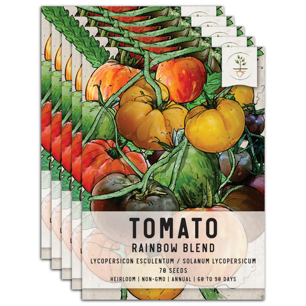 Tomato Seeds For Planting, Rainbow Mixture (Solanum lycopersicum)