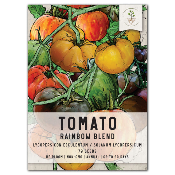 rainbow tomato seeds for planting