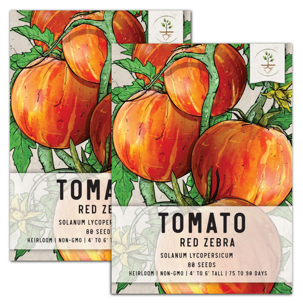 Red Zebra Tomato Seeds For Planting (Solanum lycopersicum)