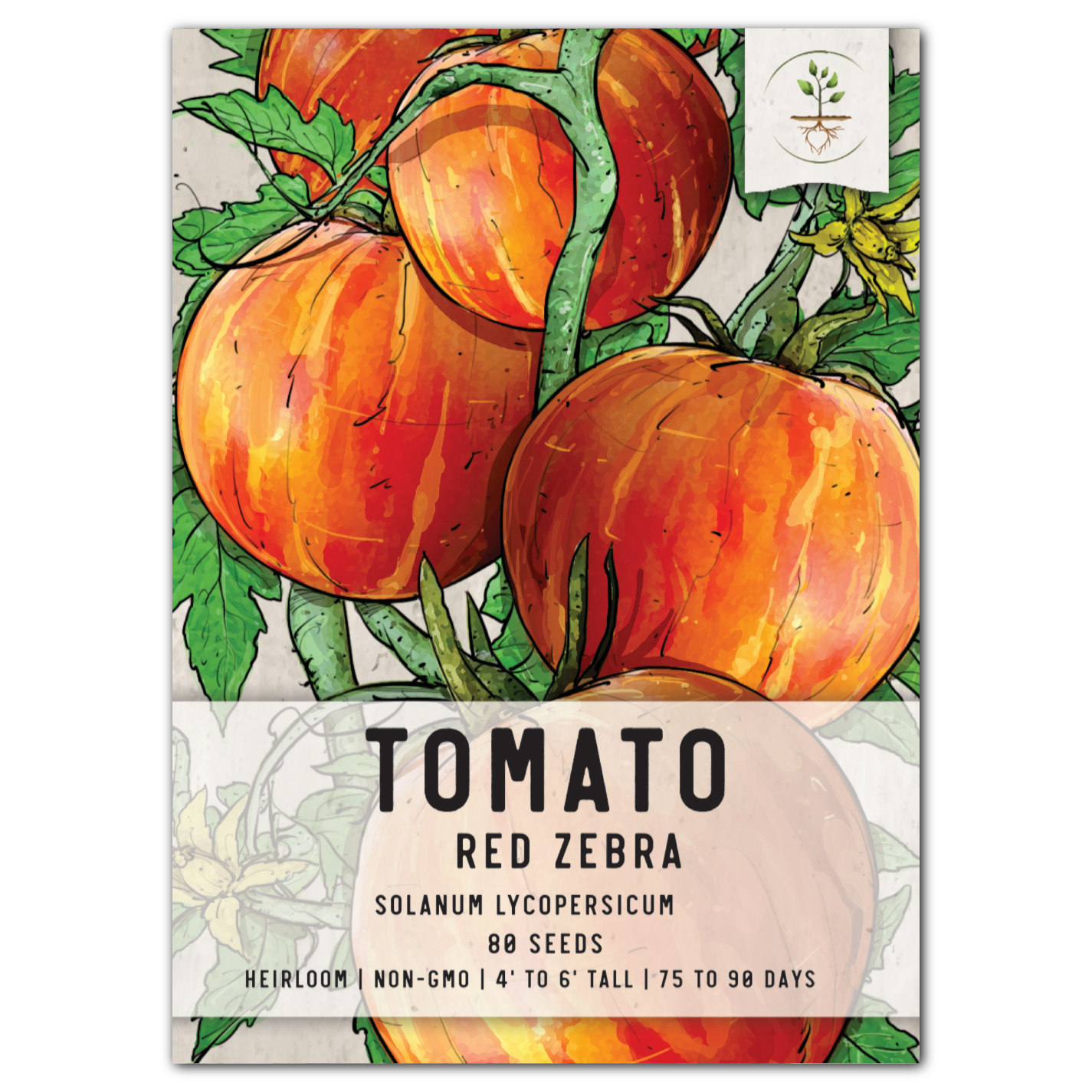 Red Zebra Tomato Seeds For Planting (Solanum lycopersicum)
