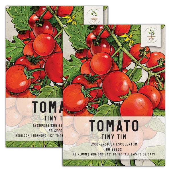 Tiny Tim Tomato Seeds For Planting (Lycopersicon esculentum)