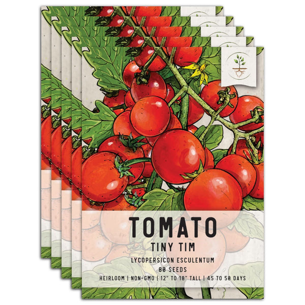 Tiny Tim Tomato Seeds For Planting (Lycopersicon esculentum)