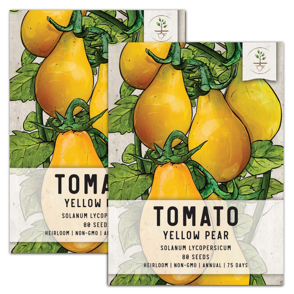 Yellow Pear Tomato Seeds For Planting (Solanum lycopersicum)