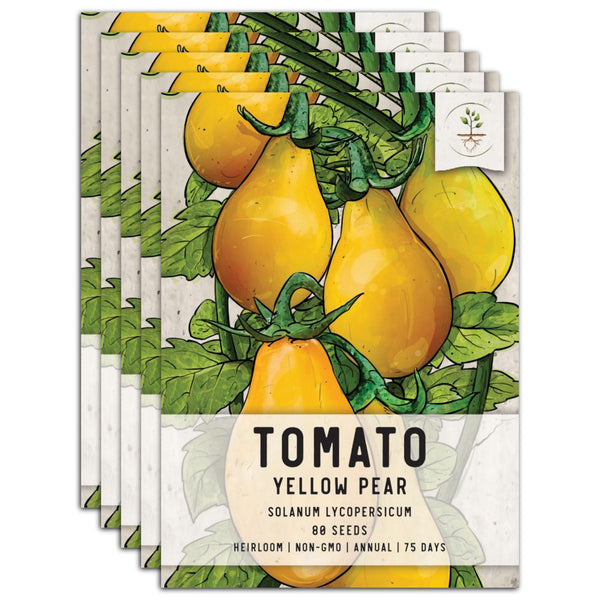 Yellow Pear Tomato Seeds For Planting (Solanum lycopersicum)