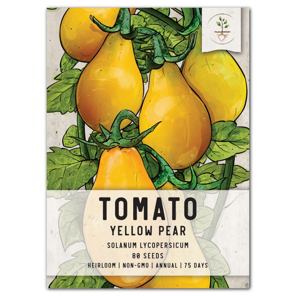 Yellow Pear Tomato Seeds For Planting (Solanum lycopersicum)